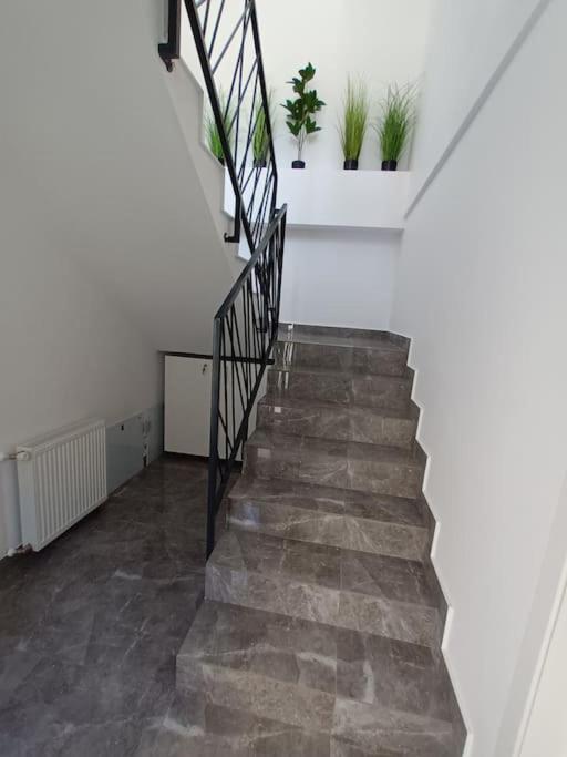 Old Town Studio 1 Apartment Nr 1 Baia Mare Exterior foto
