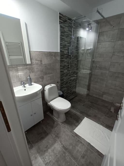 Old Town Studio 1 Apartment Nr 1 Baia Mare Exterior foto
